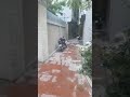 mới