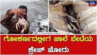 Gokarna : ಮಳೆಗಾಲದ ತಂಪು ಗಾಳಿ ಏಳುವ ಸಮಯದಲ್ಲಿ ತೀರಕ್ಕೆ ಬರುವ ಜಾಲೆಗಳು | Karavali Munjavu screenshot 2