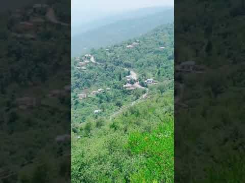 Tery Sher Wichun Asi Turr Jawan Gy By Afshan Zaibi