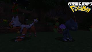 WE'RE GONNA CATCH ALL OF THEM!! - Pocket Pixels' Pixelmon screenshot 2