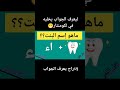 والله راح اضع قلب متنساش انك حلفت