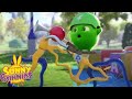 HOPPER&#39;S BIKE | SUNNY BUNNIES | Cartoons for Kids | WildBrain Bananas