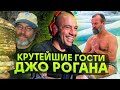 7 КРУТЫХ ГОСТЕЙ ДЖО РОГАНА / ПОДКАСТЫ