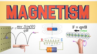 Famous Introduction to Magnetism | Basics of Electromagnetism Explained Net Worth