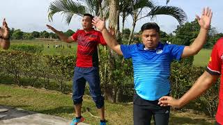 Vid 11