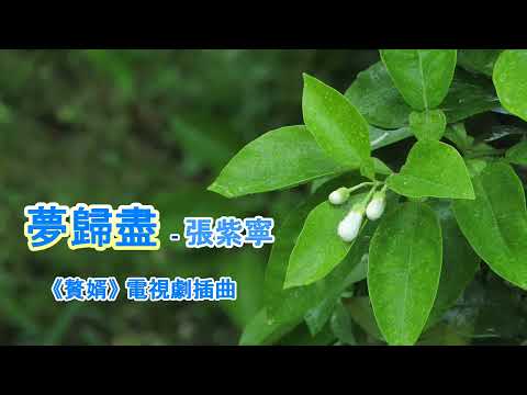 夢歸盡  🌼🌼 張紫寧 《贅婿》電視劇插曲