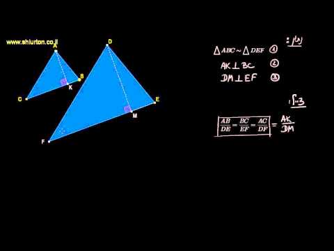 וִידֵאוֹ: מה היחס בין 1 ל-5?