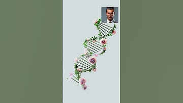 AI Ethics: Navigating the Challenges of Autonomous Decision-Making