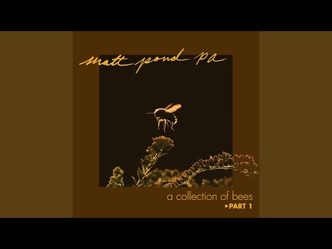 Starlet (feat. Anya Marina) (Acoustic)