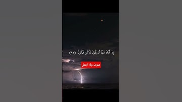 فيضله الشيخ عاصم اللحيدان #تلاوة_خاشعة #قرآن #راحة_نفسية #اكسبلور #funny #متابعه #لايك#quran