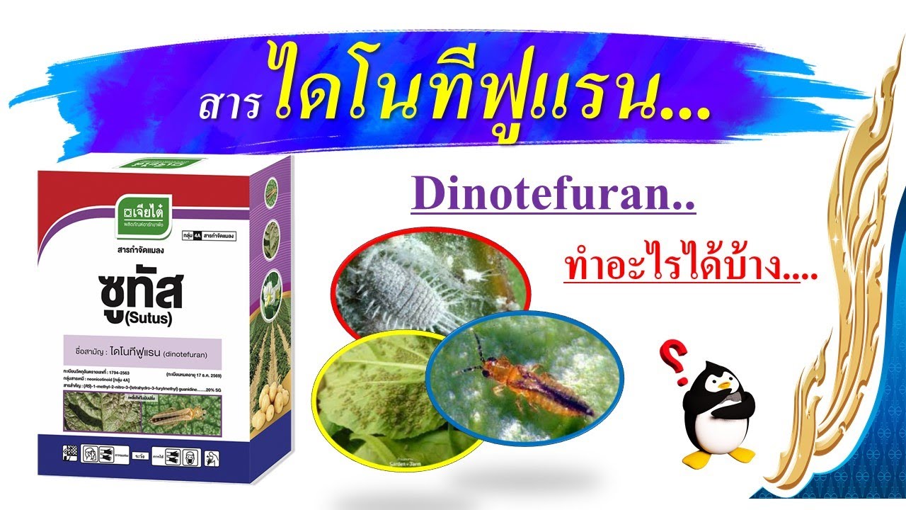 สารไดโนทีฟูแรน..(ดูดซึม กินตาย ถูกตัวตาย)..มีพิษมากต่อผึ้ง