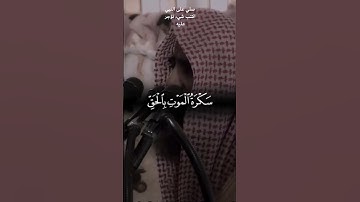 #قرآن #القارئ #محمد_اللحيدان صلي على النبي اكتب شيء تؤجر عليه 🤍 #اكسبلور