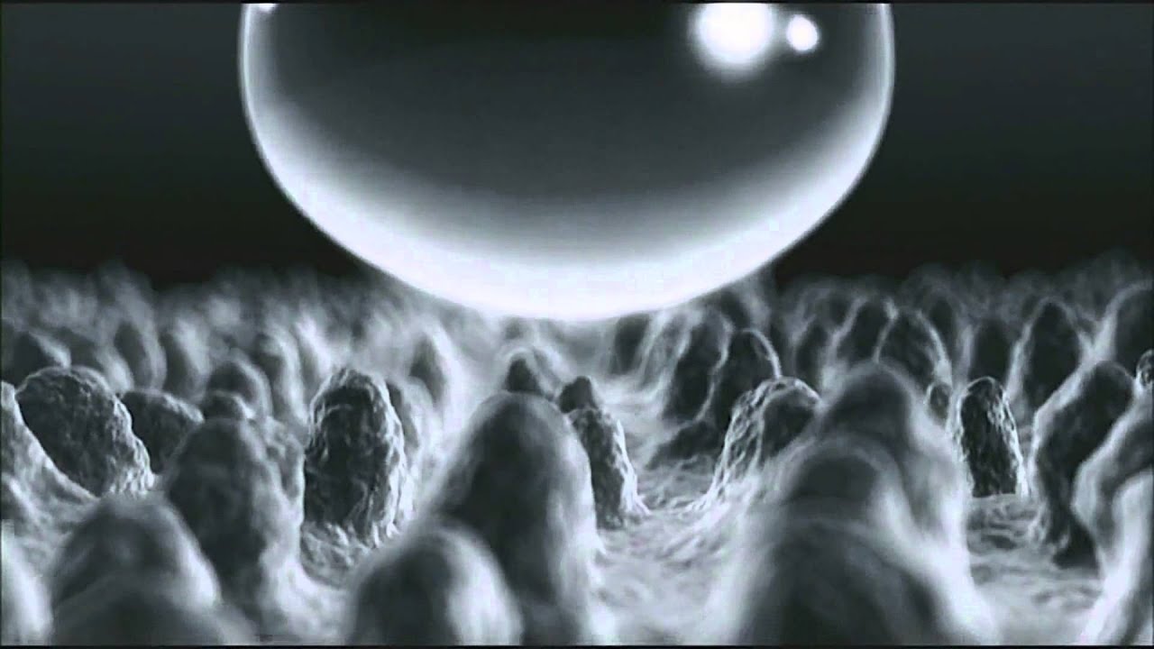 Cápsulas de Nanotecnología: "Nanotecnología aplicada a recubrimientos inteligentes"