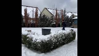 Backyard snowskating beginner (2021)