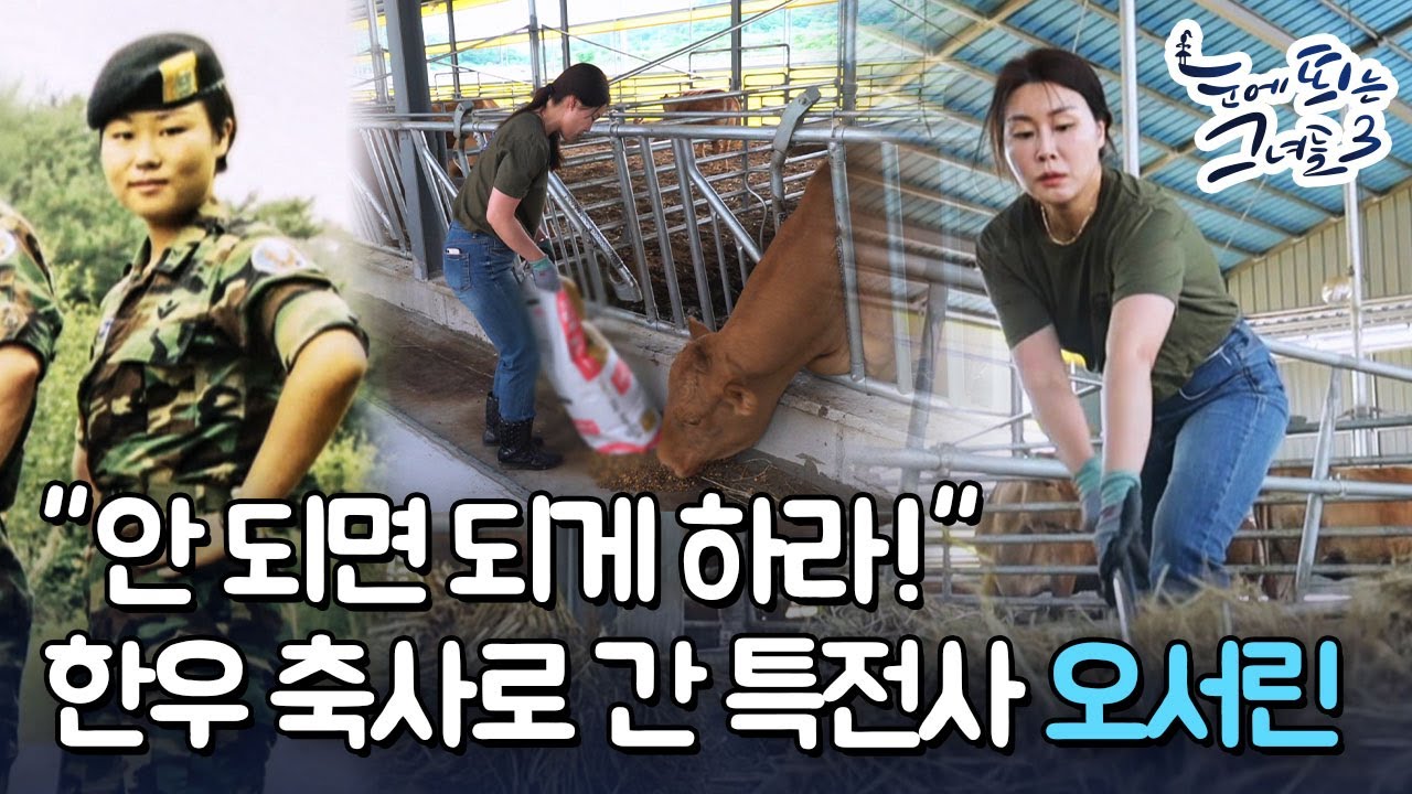 남다른 특전사 정신! 🐂한우 축사로 간 특전사 '오서린'ㅣ눈에 띄는 그녀들 3[26회] /YTN2