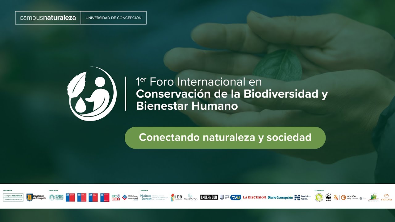 Segunda prueba Foro - CFRD - AUDIO TRADUCIDO