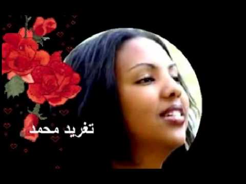 فرفور ملاذ افكارنا تغريد محمد