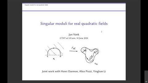 CTNT 2020 - On Singular Moduli - Jan Vonk