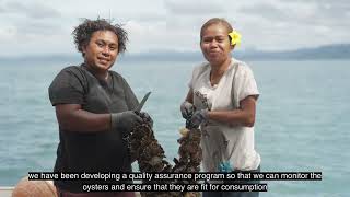 Advancing Climate-Resilient Oyster Farming For Healthier Oceans And Stronger Food Systems In Fiji