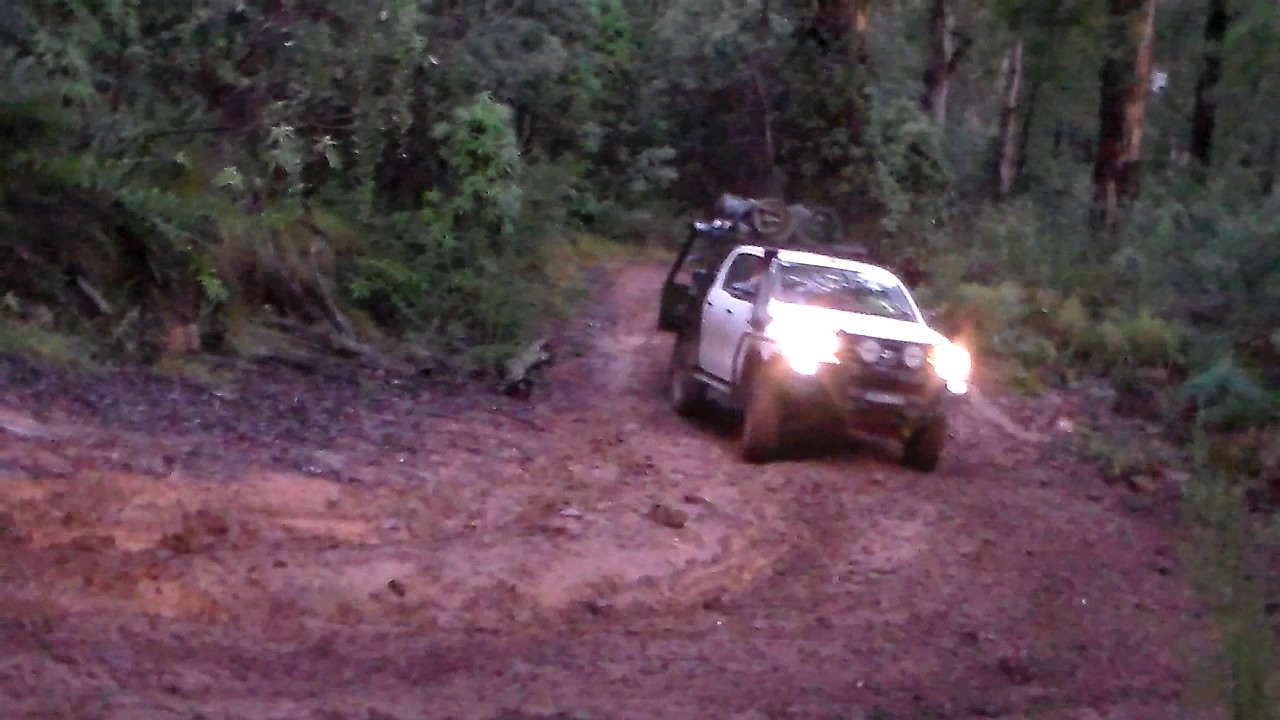 Mt Pinnabar to Wheelers Ck Hut