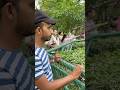 Zoo Mine Aisa Hua 😳#minivlog #trending #shorts #ashortaday