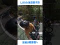 しまなみ海道を自転車で!サイクリング親子キャンプ