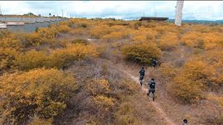 Treinamento Do Canil Do 1Biesp