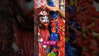 🙏🌺 #maa #kali #temple #puja #prayer #blessed #blessings #bhakti #shiv #youtube #trending #shorts