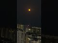 ما بتتخيلوا جمال القمر الليلة شي بيأخذ العقل