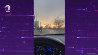 14 Il Sonra Əkiz Övladı Dünyaya Gələn Ailəyə Kənd Sakinlərindən Sürpri̇z