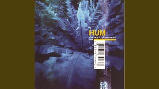 Video thumbnail of "Hum - The Scientists"