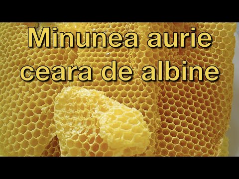 Minunea aurie - ceara de albine! Elimina otravurile si inflectiile!