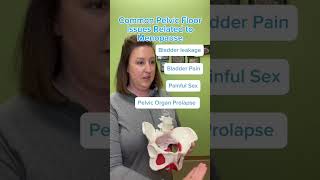 Common Pelvic Floor Issues Related to Menopause