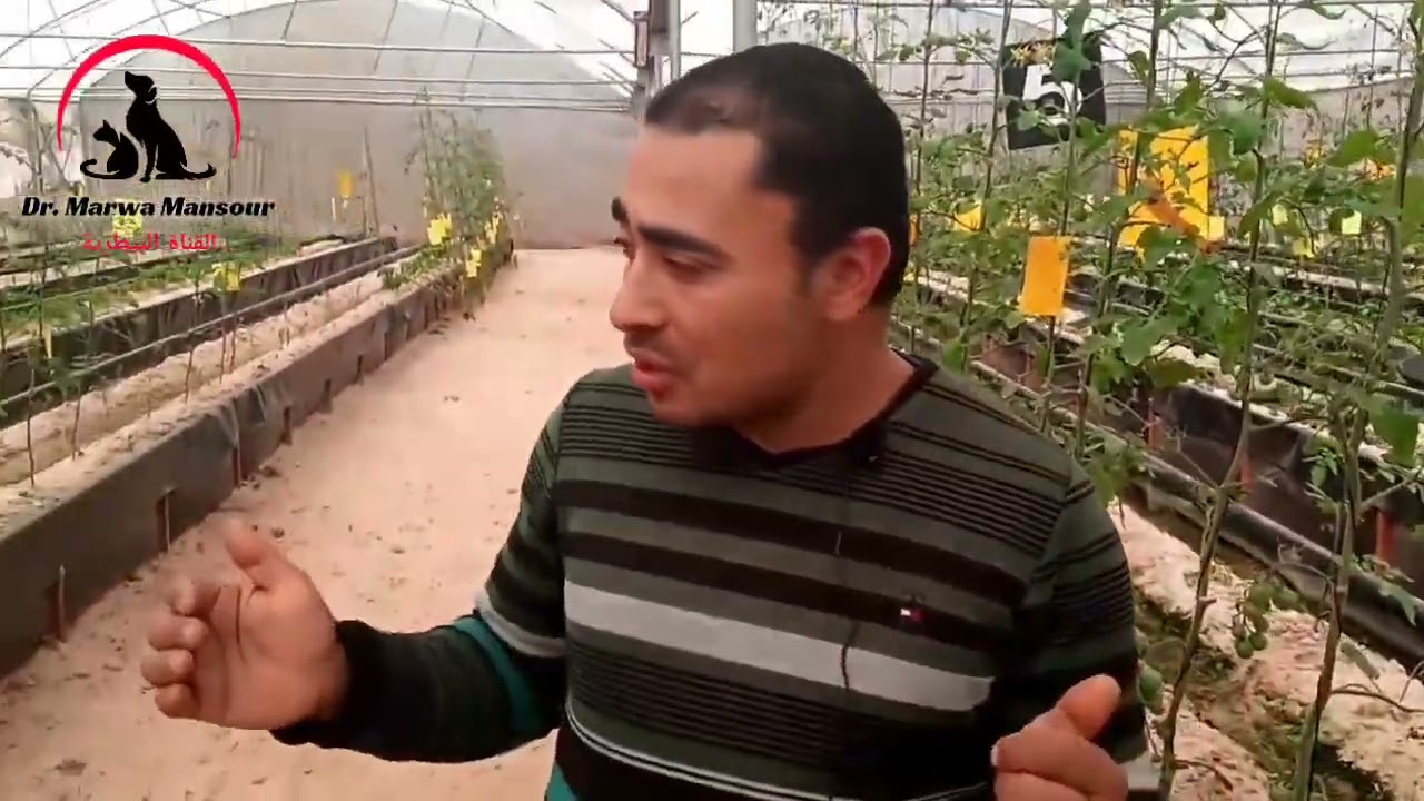 الكلام ده بفلوس كتير اوى .. المهندس ربيع جمعه