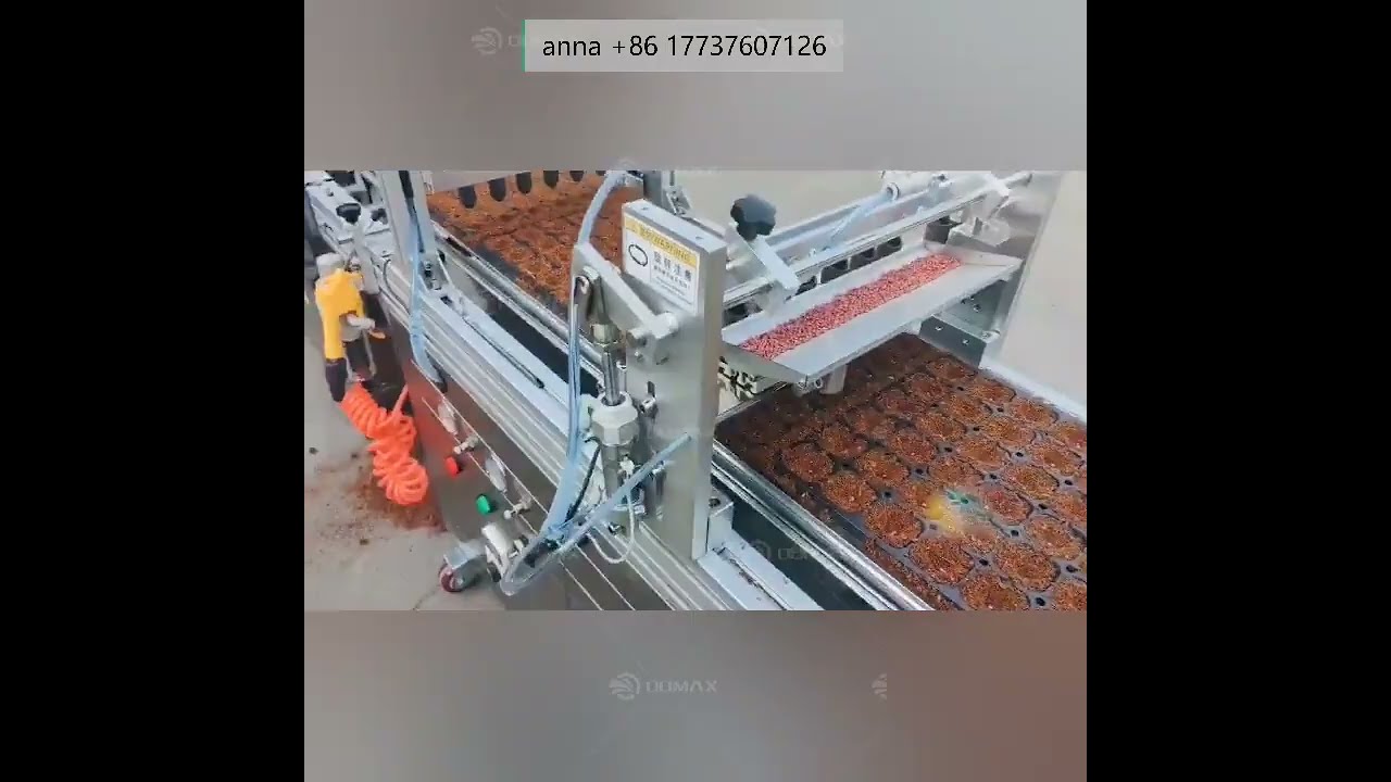 Fully Automatic Vegetable Flower Plug Tray Seedling Planter Device Seeding Machine