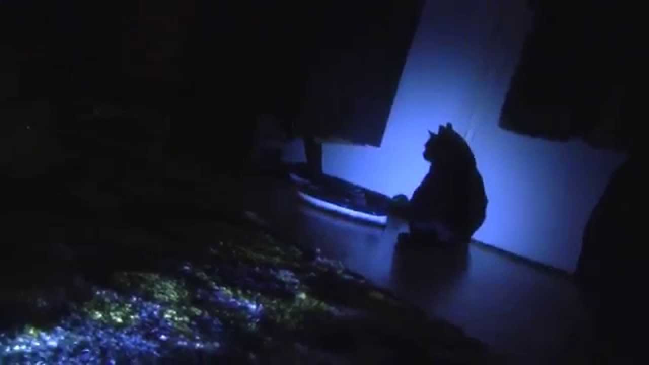 KP Transmission/Omut Mora - Kain