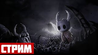 Продолжим 4 - Hollow Knight