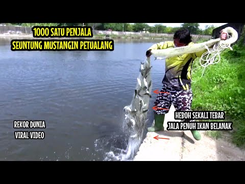 JALA IKAN|| 1000 SATU PENJALA SEUNTUNG Mustangin Petualang
