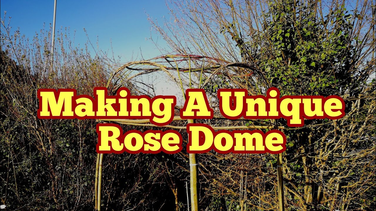 Making A Unique Rose Arch (Arbour, Dome) Using Hazlenut And Dogwood Branches