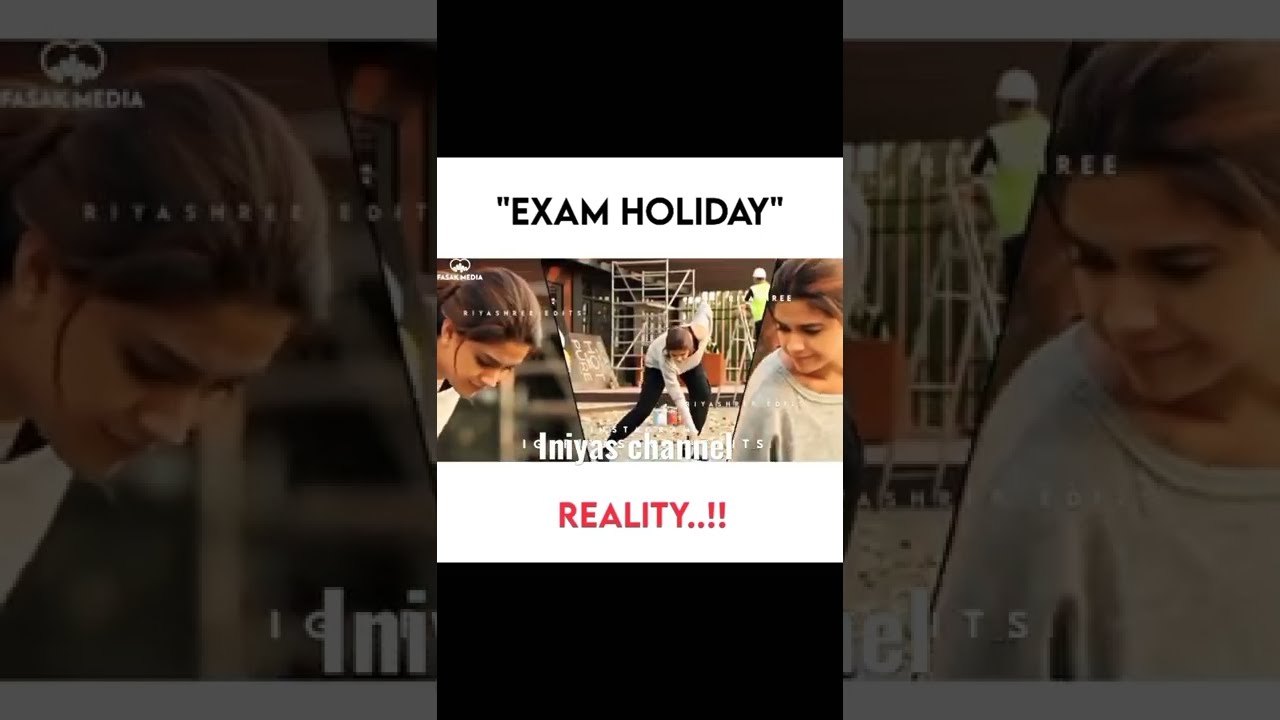 Exam holiday expectations vs reality