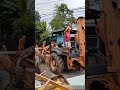 Front and Backhoe Loader Truck in the Philippines #backhoe #trucks #trucksinaction #philippinetrucks