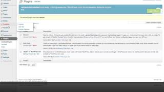 How to Install, Activate, and Understand WordPress Plugins