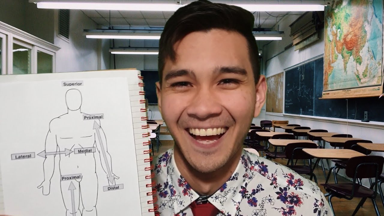 ASMR Anatomy Lesson by a Real Physiotherapist 👨‍⚕️ | Soft Spoken Medical Education