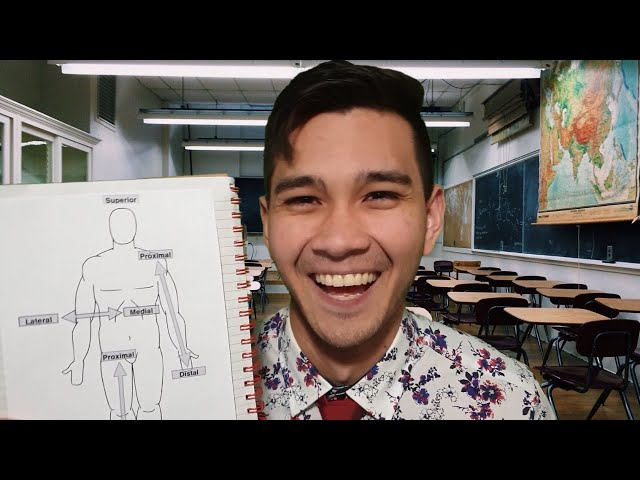 ASMR Anatomy Lesson by a Real Physiotherapist 👨‍⚕️ | Soft Spoken Medical Education