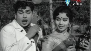 Movie: buddhimanthudu, cast: akkineni nageshwar rao, krishnam raaju,
sobhan baabu,viyaya nirmala, nagabhushanam, gummadi, suryakantham,
director: bapu, music...