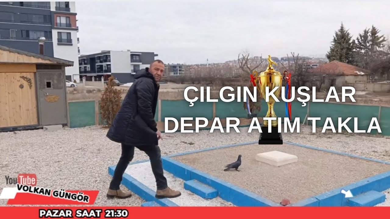 Çılgın Oyun Kuşlar Neler Yapar  Merak Edenler Video Sonuna Kadar İzlesin!