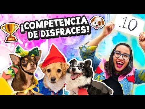 Video: 20 razones para ser un cachorro es un trabajo ridículamente duro (según lo dicho por los cachorros)