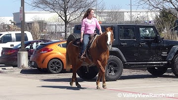 Gracie - riding in town! - ValleyViewRanch.net