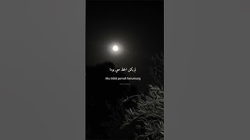 قران كريم لأ تهرب بلأ أسمع #يارب #لايك #القران