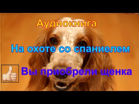 На охоте со спаниелем. Валов Н.А. Вы приобретаете щенка